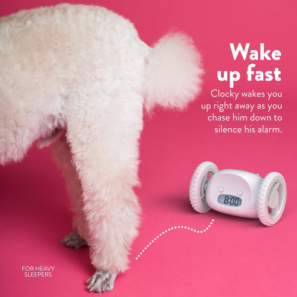 Clocky Pink